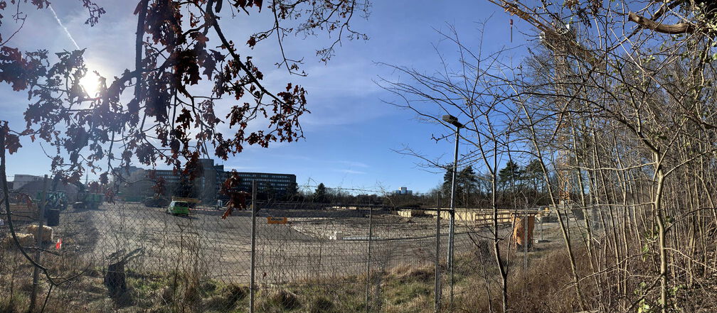 PS Buchholzer Strasse 250317 3