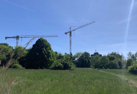 PS Buchholzer Strasse 250511 8