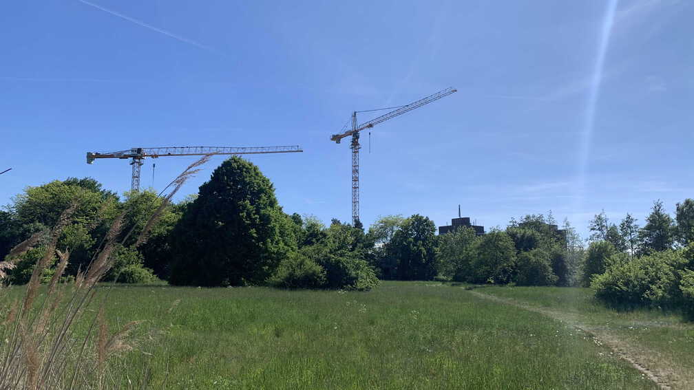 PS Buchholzer Strasse 250511 8