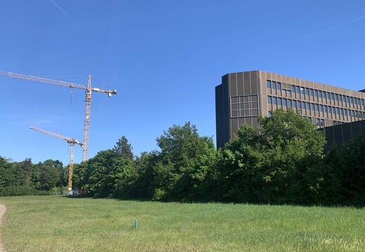 PS Buchholzer Strasse 250511 9