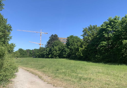 PS Buchholzer Strasse 250511 10