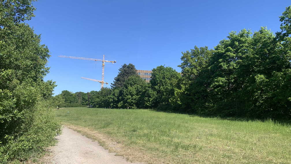 PS Buchholzer Strasse 250511 10