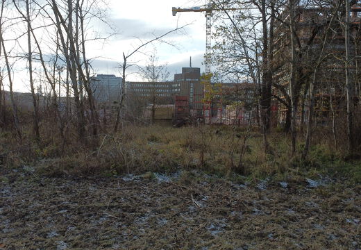 PS Buchholzer Strasse 251123 1