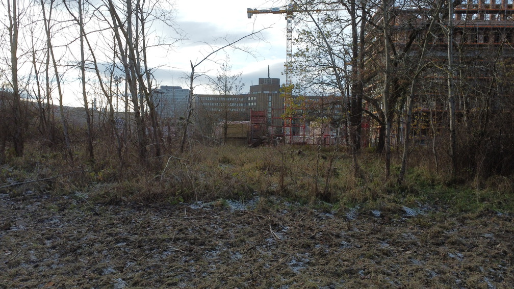 PS Buchholzer Strasse 251123 1