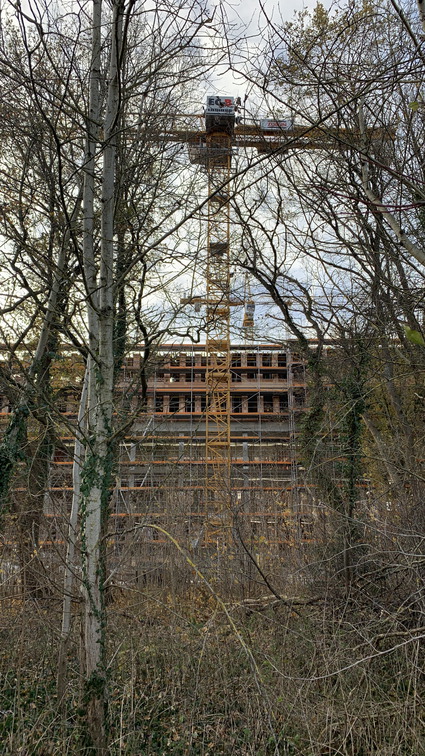 PS Buchholzer Strasse 251123 23